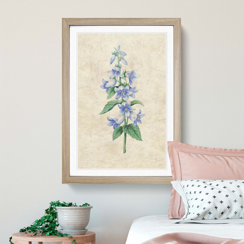 Bellflowers by Pierre-Joseph Redoute - Framed Print, 36cm H x 27cm W x 2cm D, Oak Framed