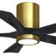 Irene Flushmount Light Kit 5 Blade LED Ceiling Fan-327028476-326228178-400726662