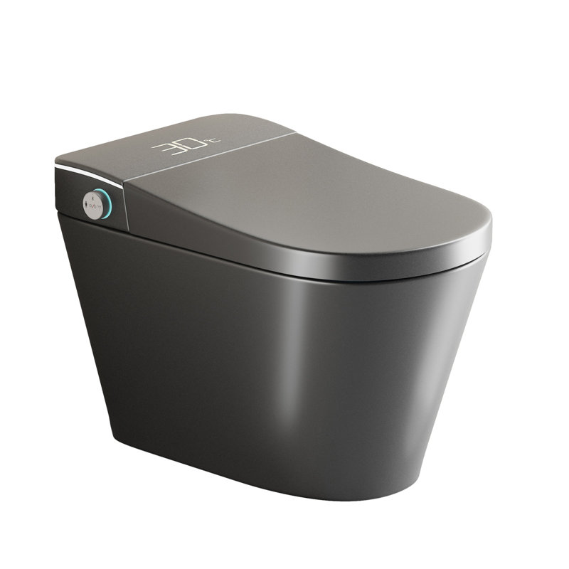 Smart Toilet Bidet, Auto Open/Close Seat,With Dryer And Warm Water, Gray