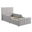 Upholstered Ottoman Storage Bed-182457524
