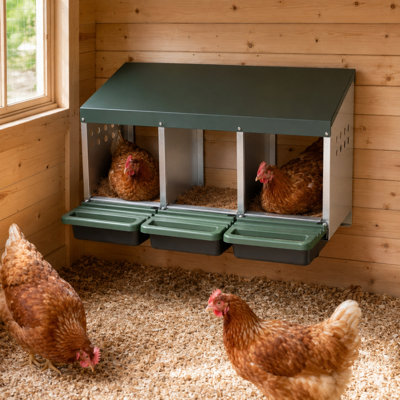Chicken Coop