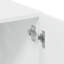 Atri Storage Cabinet-29221038