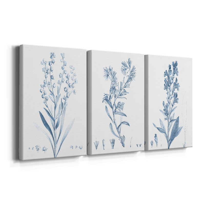 Antique Botanical in Blue I - Toile tendue avec châssis sur mesure - 3 pièces, H 27 po x l 54 po