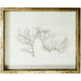 Sealife Print