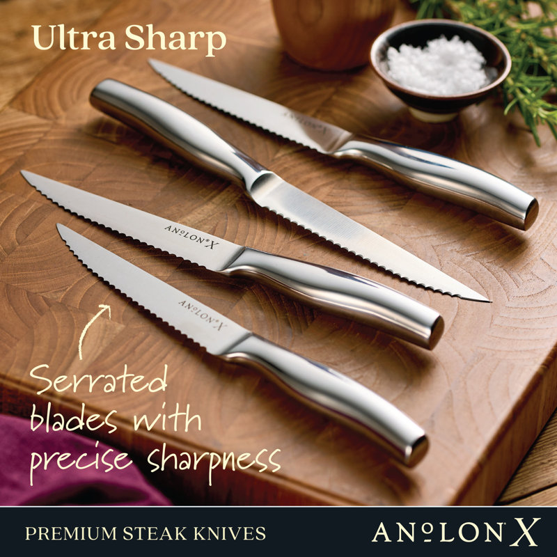 Anolon X Steak Knife Set, 4 Piece, Stainless Steel