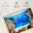 Gillard Navagio Tourist Spot