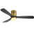 Gold with Matte Black Wood Blades is out of stock
