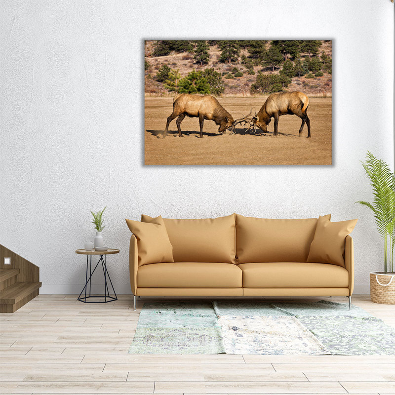 «Two Elks I», reproduction d'art sur toile, H 32 po x l 48 po
