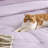 Bedsure Prewashed Bedding Set with Soft Fleece Microfiber Bed Blanket-110389515