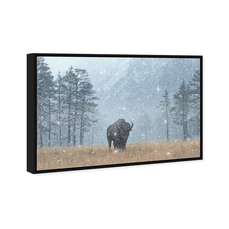 Mountain Bison II Print by Oliver Gal, 37" H x 55" W, Black Floater Frame