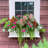 Anastasiya Resin Window Box Planter with Water Reservoir-9872667