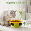 Assiette en forme de fleur de chat en forme de fleur 100% faite à la main en céramique 5,9 po-118806490