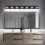 Luminaire de salle de bain DEL Ravo à haute transmission et intensité variable 5500K avec tête rotative à 270 ° -965170879-965170874