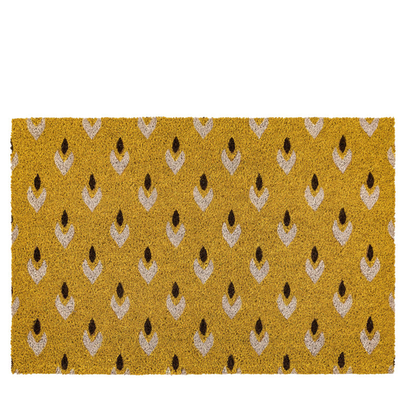 Aasif Non-Slip Doormat