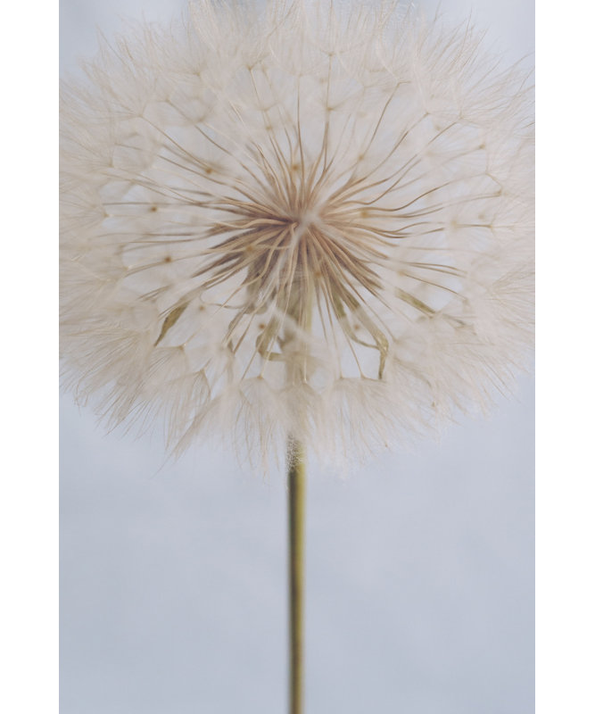 Wrapped Canvas Print, 81.28cm H x 121.92cm W