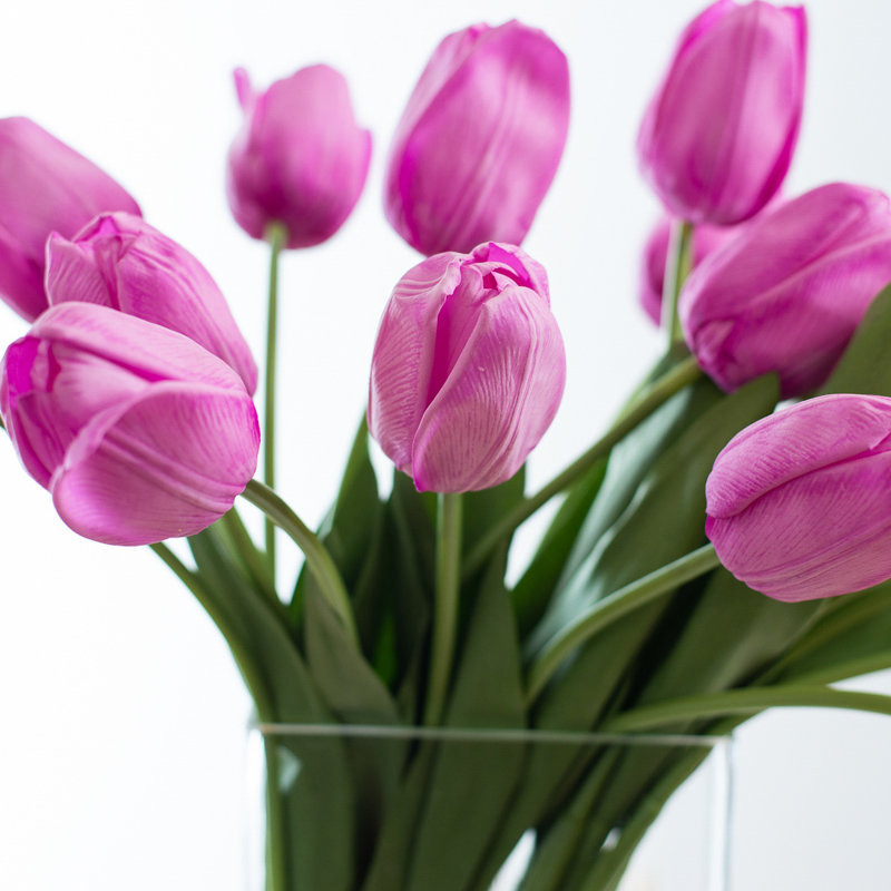 Vraie tulipe hollandaise dans un vase