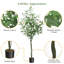Faux eucalyptus artificiels avec eucalyptus-440272940