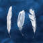 Reproduction d'art graphique sur toile «Cyanorph Feathers II»-29282192-74729782-74730207