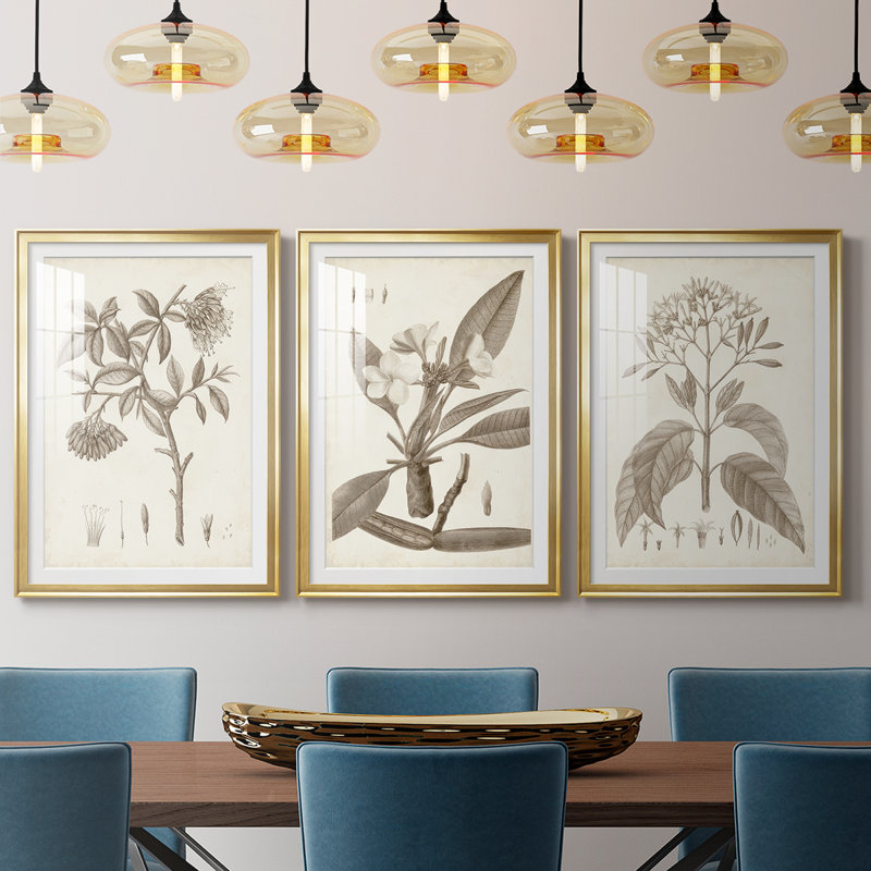 Antique sépia botanicals I - impression encadrée sur mesure de qualité supérieure - 3 pièces, H 15 po x l 19 po, Doré