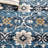 Dalrymple Performance Oriental Rug-24776680