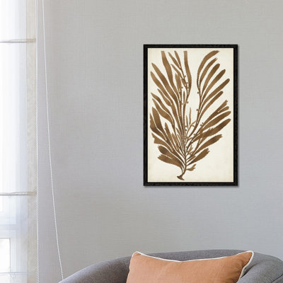 Sepia Seaweed II by Vision Studio - Gallery-Wrapped Canvas Giclée on Canvas