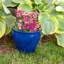 Jardinière extérieure ronde en céramique 11,75 po x 11,75 po x 9,5 po Chalet - bleu impérial-343455990-343419990