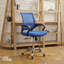 TATE MESH BACK OFFICE CHAIR-18139864