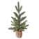 Northlight 14'' Faux Pine Tree in Pot | Wayfair