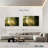 Alvord Forest Road Sunshine-107989946