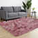 Alberic Standard Shag Area Rug