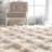 Kaliyanei Diamond Trellis Power Loom Performance Shag Cream Rug-1692039970