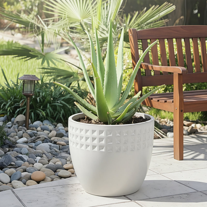 Ensemble de 3 pots à fleurs d'intérieur / extérieur en céramique avec trou de drainage, Blanc