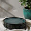 Bio Stoneware Oceano Dinner Plate, 10.8" (Set Of 6)