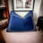 Embroidered Velvet Reversible Pillow Cover-1668517259