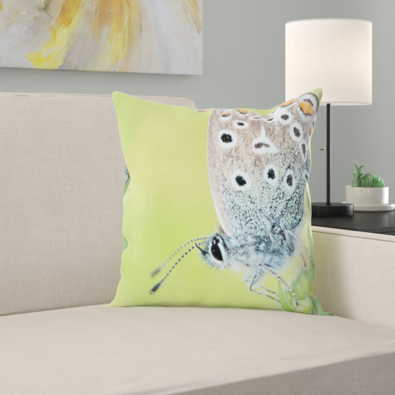 Coussin décoratif nature