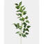 Faux Branch