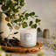 Mountain Lavender & Chamomile Boxed Luxe Candle-1378972347
