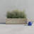 Gita Lightweight Outdoor Trough Planter Box-173952425-148089135