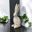 Animals Statue