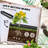 Metal Planter Box With Safety Edging,Galvanized Raised Garden Bed Kit-634030354