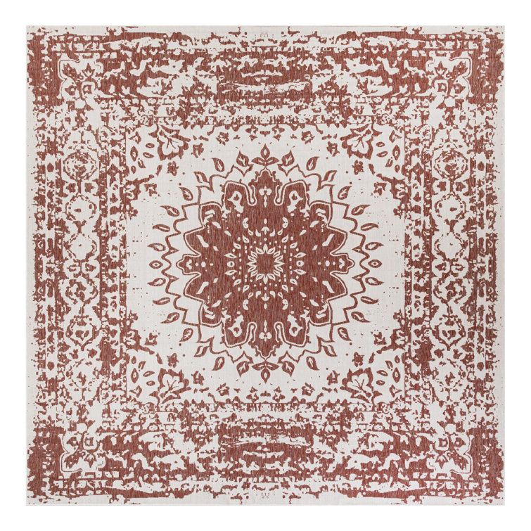 Ornate Lamotte Indoor/Outdoor Area Rug