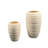Tahiyah Ceramic / Porcelain Table Vase