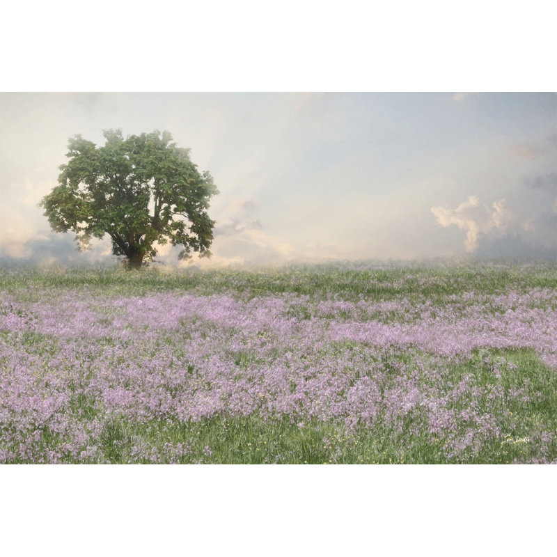 Wildflower Field by Lori Deiter, 8" H x 12" W, Walnut Floater Framed