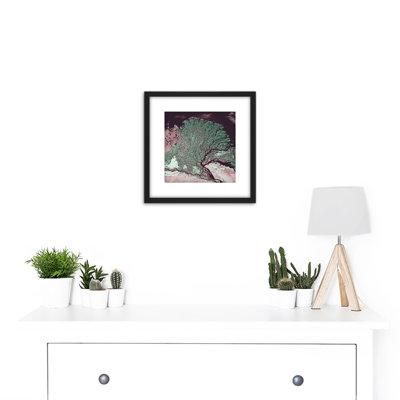 Abstract Tree Growth Nature - Single Picture Frame Painting