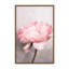 Nature Inspired Peony by  - Picture Frame Photograph on Paper-131284575-131284497-81387085
