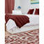 None Nykeia Area Rug Rust Red Colour-2061843721