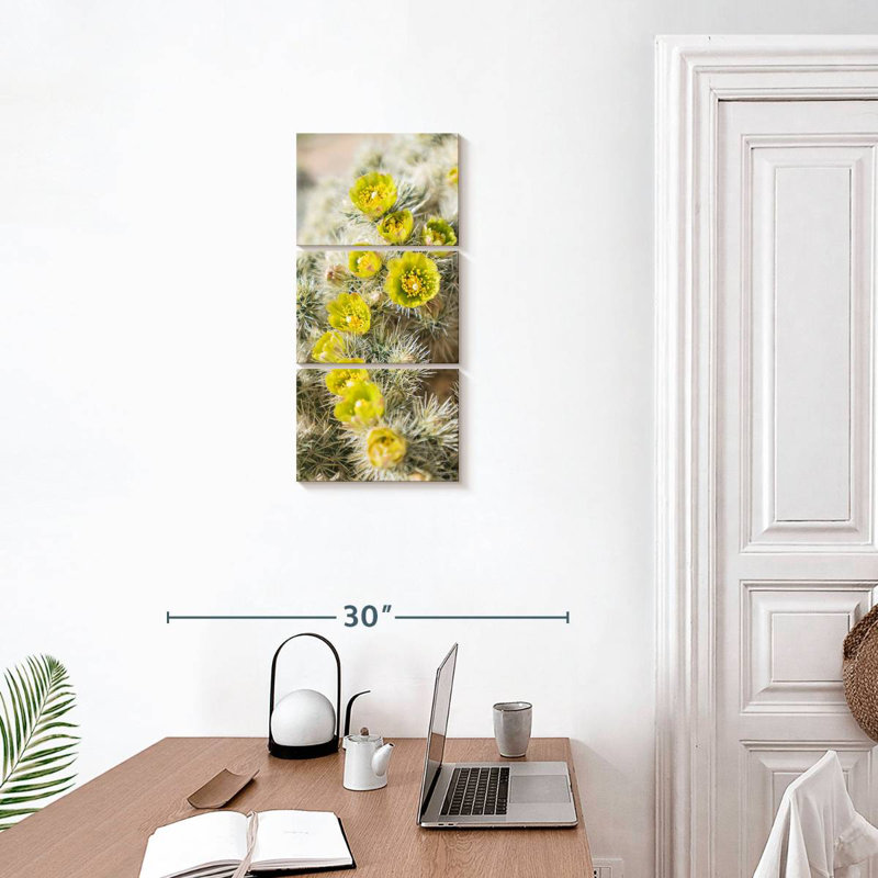 Cholla cactus, H 27 po x l 12 po