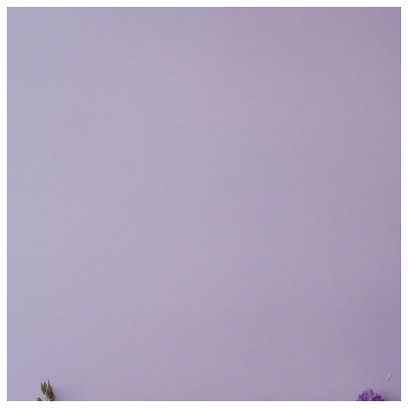 Fleurs sauvages mauves sur des couvertures lavande, 50in W x 60in H