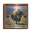  «Yellowstone» par Jim Baldwin, art mural en métal, 36 po x 36 po-1416514660