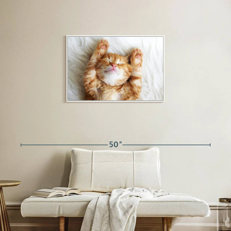 Sleepy Kitty, Cadre flottant blanc, 31 po x 21 po